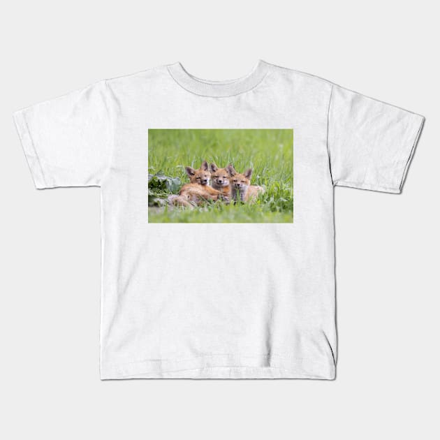 Red fox kit triplets Kids T-Shirt by Jim Cumming